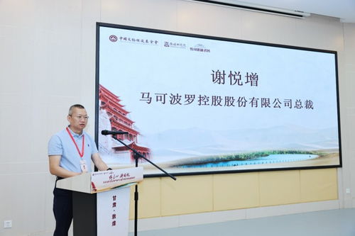 傳匠心 鑄國魂 馬可波羅文化遺產(chǎn)保護公益行動點亮敦煌莫高窟